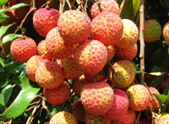 �������ʳˮ��Ҳ��������