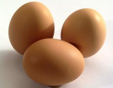 �ļ���α��漦��