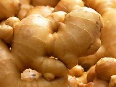 �ճ����������������ѡ��