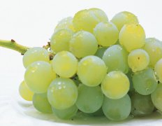 �ճ����������������ѡ����