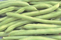 ����ʪ�ȴ�Ƣ��ʪ������