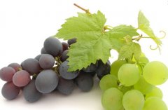 �������м�����������ʲô�ô���