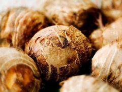 �ﶬ������ѡ��ͷע���⼸��Ҫ��