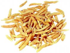 �󶬵Ĺ�Ч�����ã�������� ��θ����