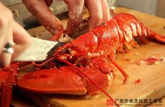 ��������ַ�