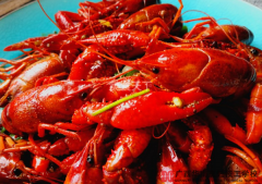 ����С��Ϻ